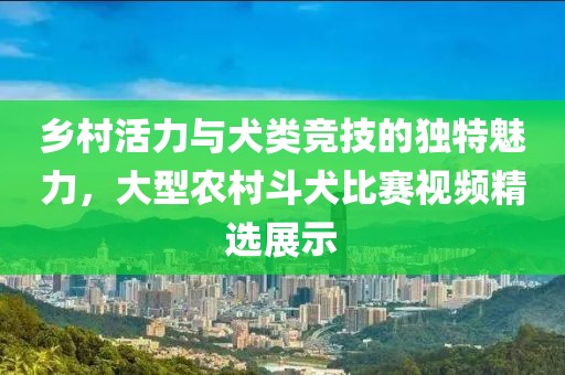 乡村活力与犬类竞技的独特魅力，大型农村斗犬比赛视频精选展示