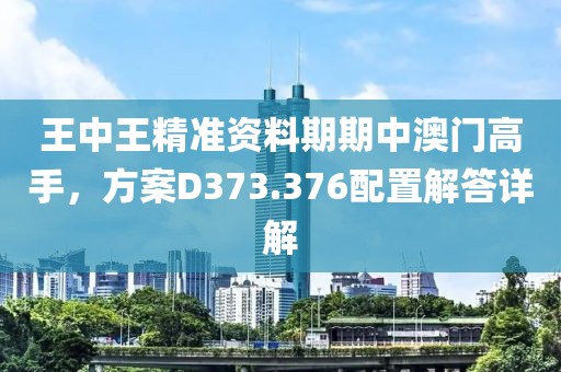 王中王精准资料期期中澳门高手，方案D373.376配置解答详解