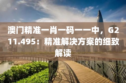 澳门精准一肖一码一一中，G211.495：精准解决方案的细致解读