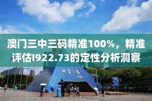 澳门三中三码精准100%，精准评估I922.73的定性分析洞察