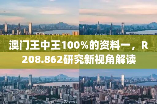 澳门王中王100%的资料一，R208.862研究新视角解读