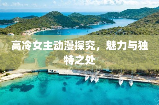 高冷女主动漫探究，魅力与独特之处