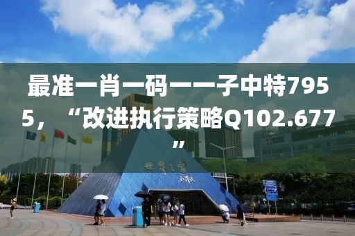 最准一肖一码一一子中特7955，“改进执行策略Q102.677”