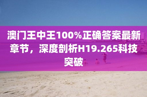 澳门王中王100%正确答案最新章节，深度剖析H19.265科技突破