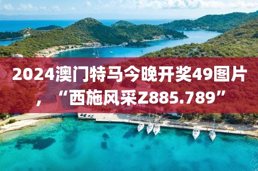 2024澳门特马今晚开奖49图片，“西施风采Z885.789”