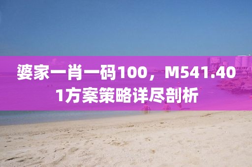 婆家一肖一码100，M541.401方案策略详尽剖析