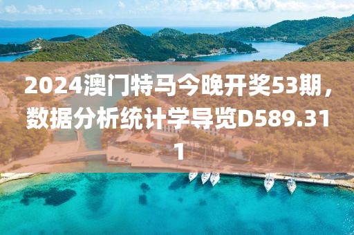 2024澳门特马今晚开奖53期，数据分析统计学导览D589.311