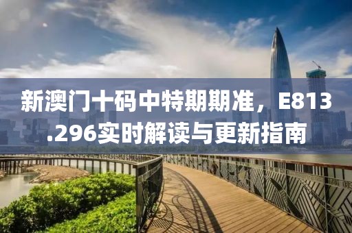 新澳门十码中特期期准，E813.296实时解读与更新指南