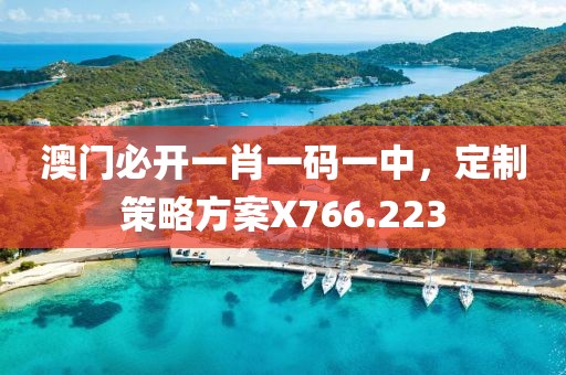 澳门必开一肖一码一中，定制策略方案X766.223