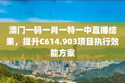 澳门一码一肖一特一中直播结果，提升C614.903项目执行效能方案
