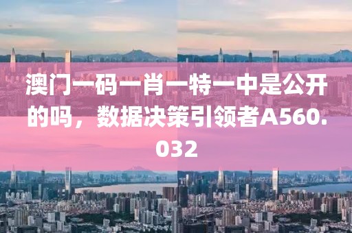 澳门一码一肖一特一中是公开的吗，数据决策引领者A560.032