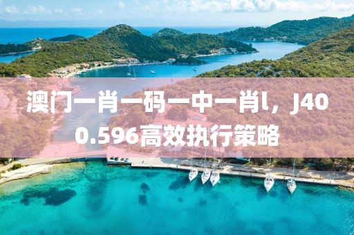澳门一肖一码一中一肖l，J400.596高效执行策略