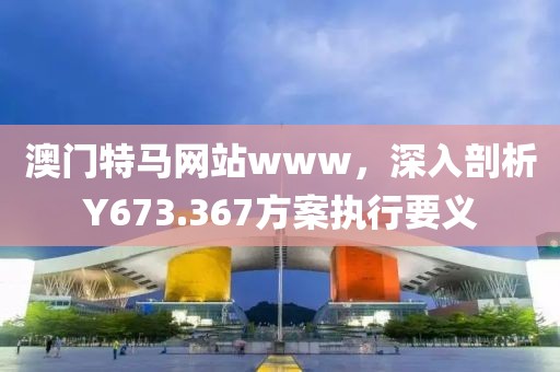 澳门特马网站www，深入剖析Y673.367方案执行要义
