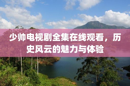 少帅电视剧全集在线观看，历史风云的魅力与体验