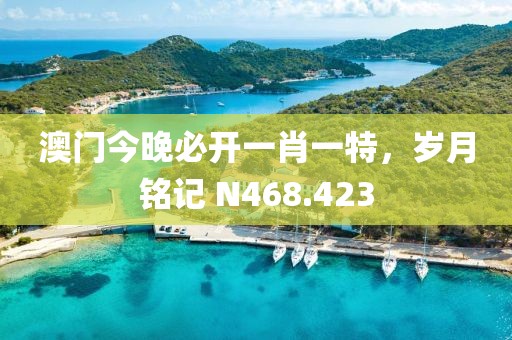 澳门今晚必开一肖一特，岁月铭记 N468.423