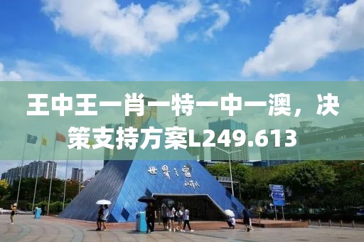 王中王一肖一特一中一澳，决策支持方案L249.613