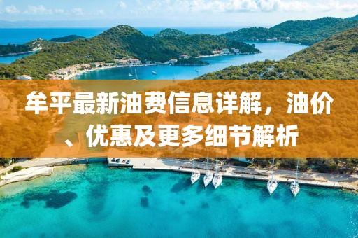 牟平最新油费信息详解，油价、优惠及更多细节解析