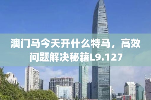 澳门马今天开什么特马，高效问题解决秘籍L9.127