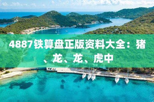 4887铁算盘正版资料大全：猪、龙、龙、虎中