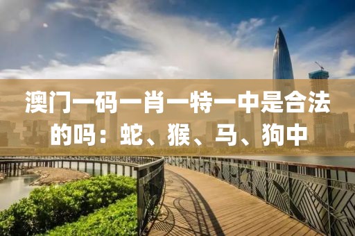 澳门一码一肖一特一中是合法的吗：蛇、猴、马、狗中