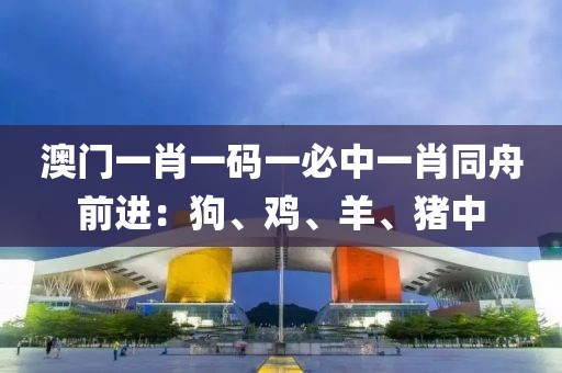 澳门一肖一码一必中一肖同舟前进：狗、鸡、羊、猪中