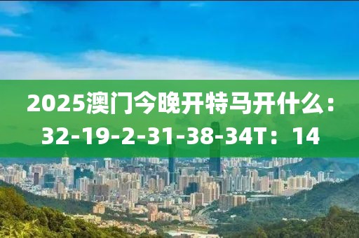 2025澳门今晚开特马开什么：32-19-2-31-38-34T：14