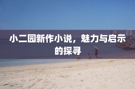 小二园新作小说，魅力与启示的探寻
