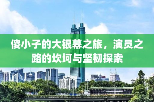傻小子的大银幕之旅，演员之路的坎坷与坚韧探索
