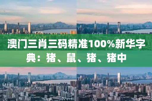 澳门三肖三码精准100%新华字典：猪、鼠、猪、猪中
