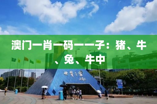 澳门一肖一码一一子：猪、牛、兔、牛中