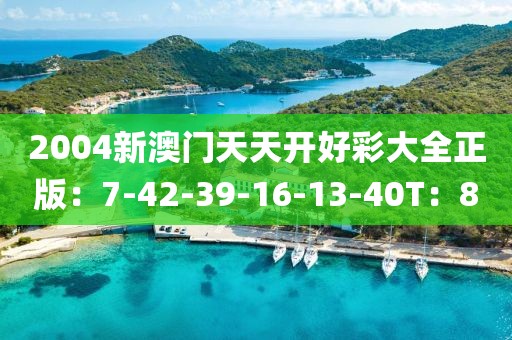 2004新澳门天天开好彩大全正版：7-42-39-16-13-40T：8