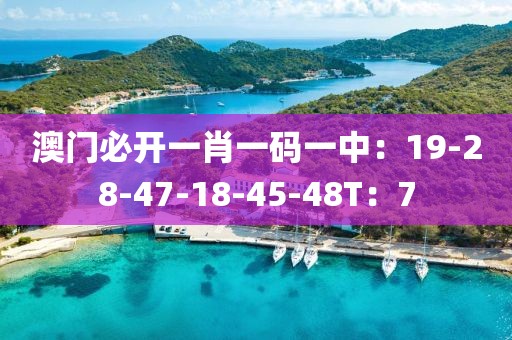 澳门必开一肖一码一中：19-28-47-18-45-48T：7