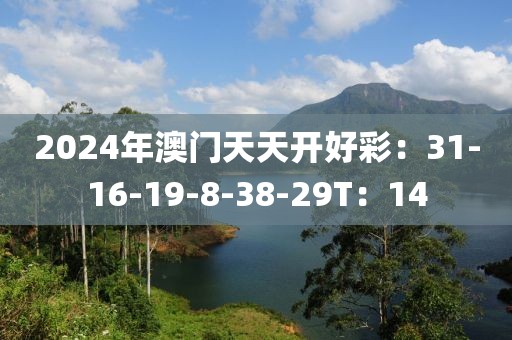 2024年澳门天天开好彩：31-16-19-8-38-29T：14