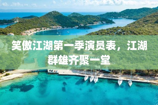 笑傲江湖第一季演员表，江湖群雄齐聚一堂