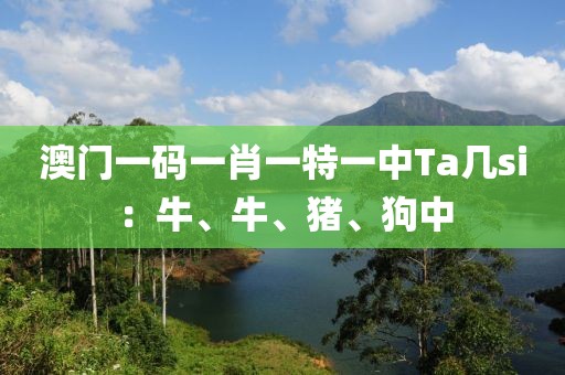 澳门一码一肖一特一中Ta几si：牛、牛、猪、狗中