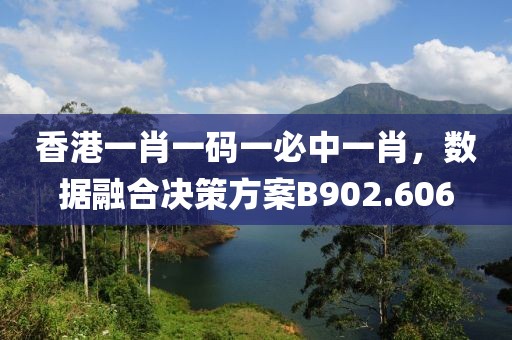 香港一肖一码一必中一肖，数据融合决策方案B902.606