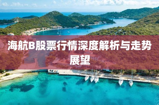 海航B股票行情深度解析与走势展望