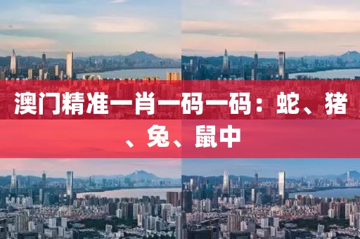 澳门精准一肖一码一码：蛇、猪、兔、鼠中