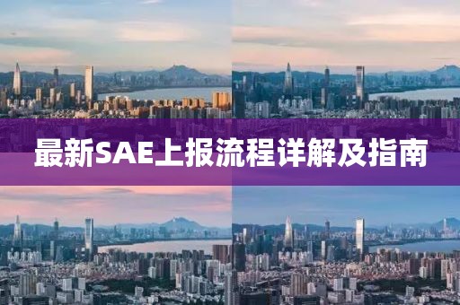 最新SAE上报流程详解及指南