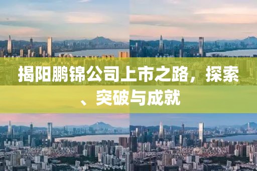 揭阳鹏锦公司上市之路，探索、突破与成就