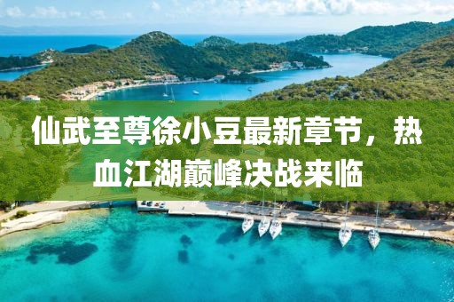仙武至尊徐小豆最新章节，热血江湖巅峰决战来临