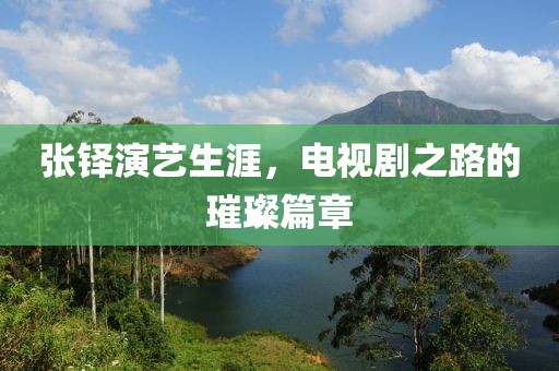 张铎演艺生涯，电视剧之路的璀璨篇章