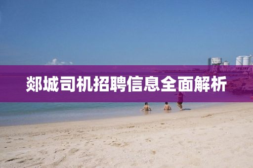 郯城司机招聘信息全面解析