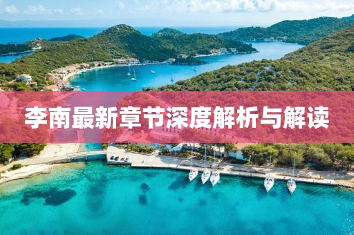 李南最新章节深度解析与解读