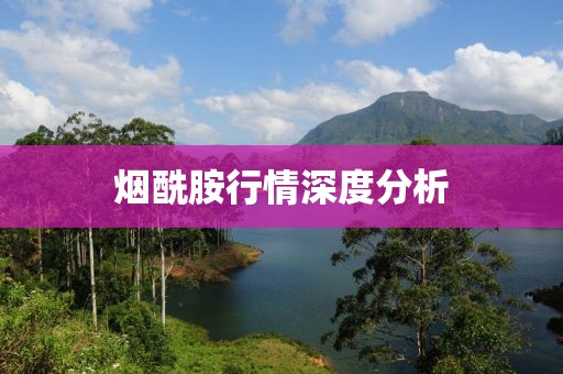 仙蒂瑞拉 第20页