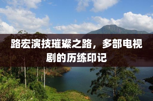 路宏演技璀璨之路，多部电视剧的历练印记