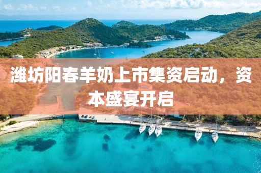 潍坊阳春羊奶上市集资启动，资本盛宴开启