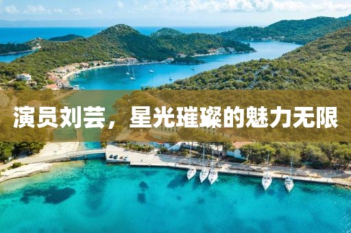 演员刘芸，星光璀璨的魅力无限