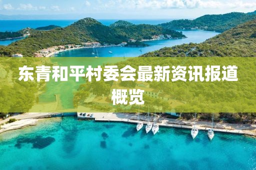 东青和平村委会最新资讯报道概览