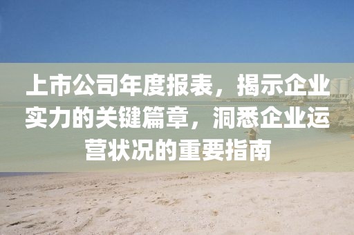 上市公司年度报表，揭示企业实力的关键篇章，洞悉企业运营状况的重要指南
